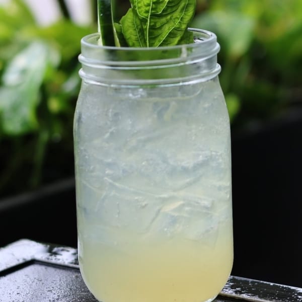 A refreshing iced drink in a mason jar, garnished with fresh basil, against a green background.